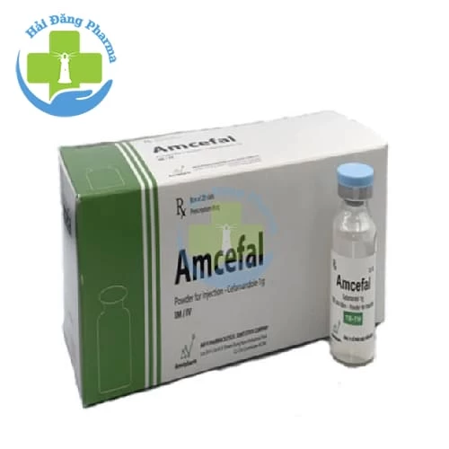 Amcefal 2g - Hộp 1 lọ